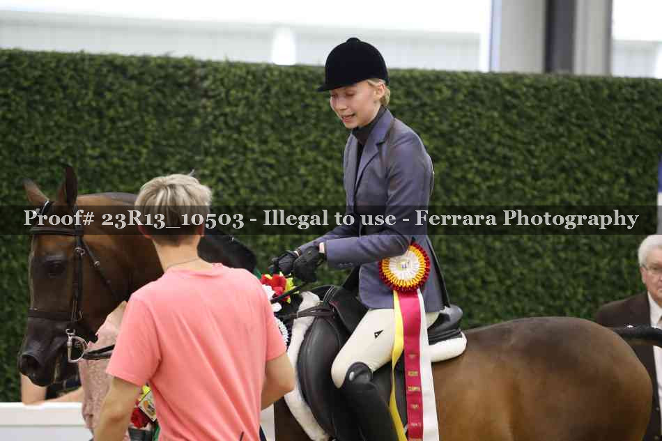 Proof 23R13_10503