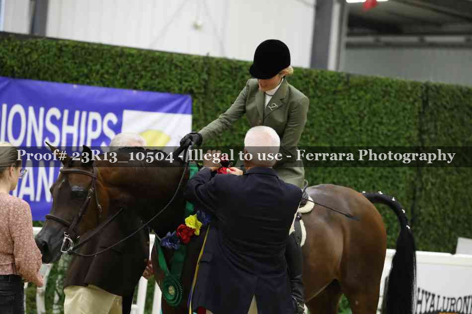 Proof 23R13_10504