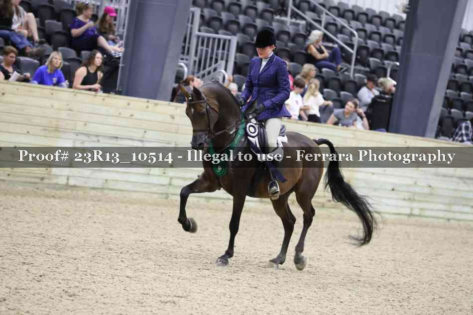 Proof 23R13_10514