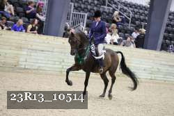 23R13_10514 proof