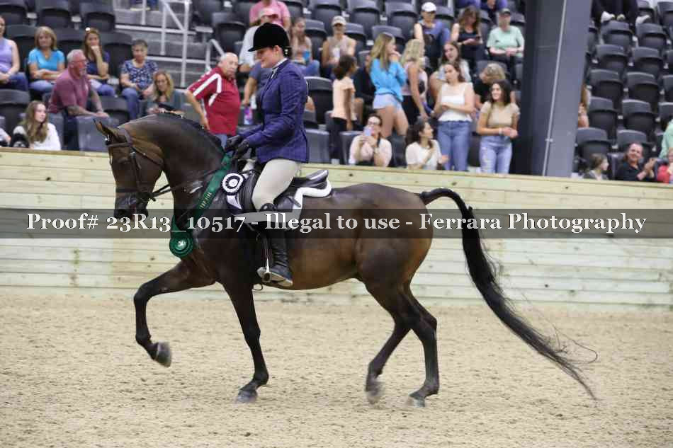 Proof 23R13_10517