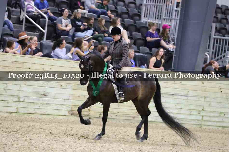 Proof 23R13_10520