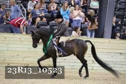 23R13_10523 proof