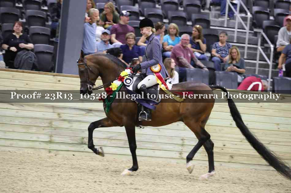 Proof 23R13_10528