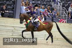 23R13_10528 proof