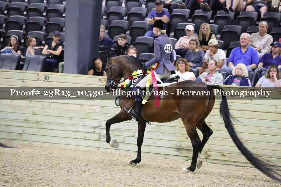 Proof 23R13_10530