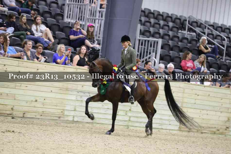 Proof 23R13_10532