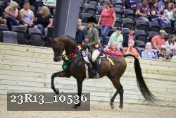 23R13_10536 proof