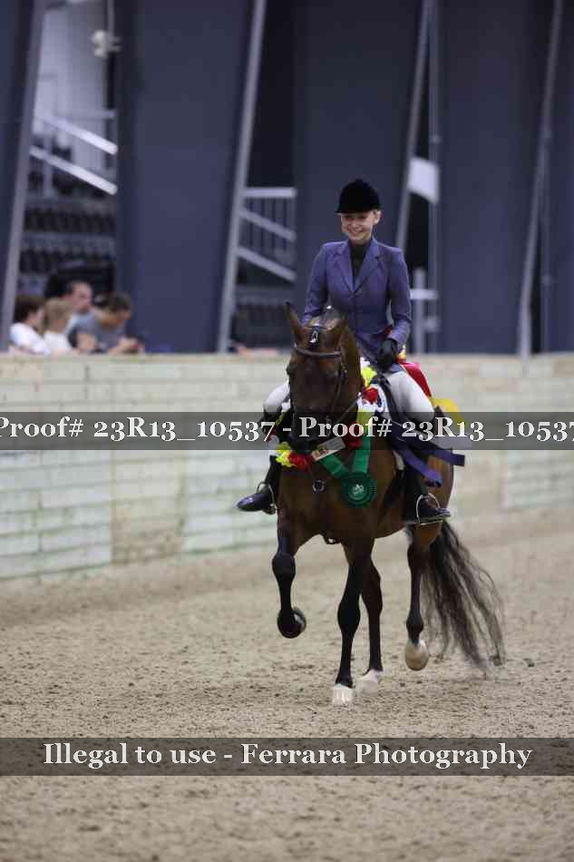 Proof 23R13_10537