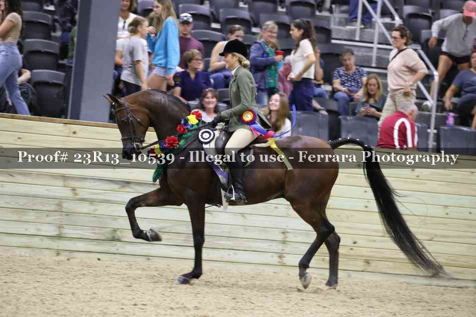 Proof 23R13_10539