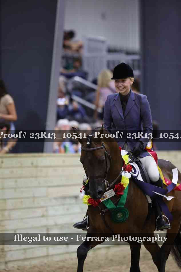 Proof 23R13_10541