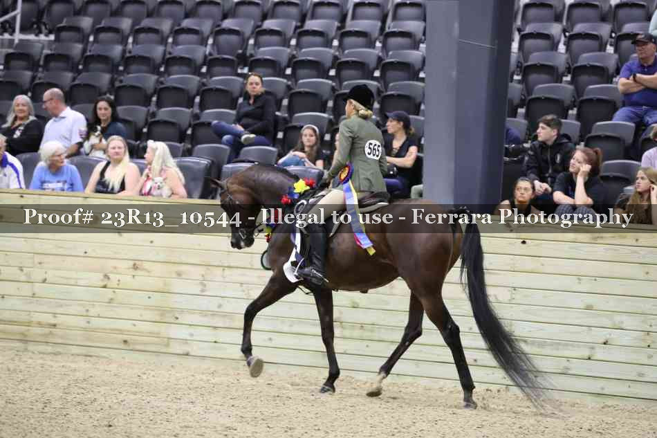 Proof 23R13_10544