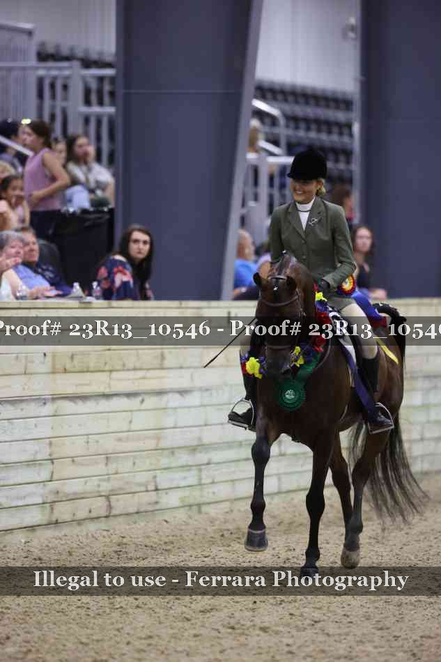 Proof 23R13_10546
