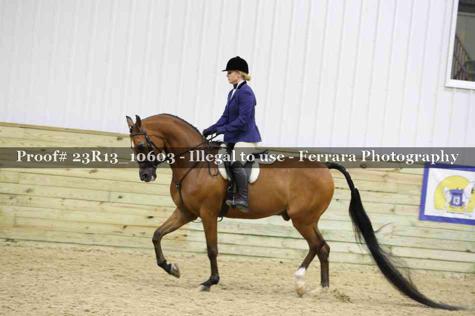 Proof 23R13_10603