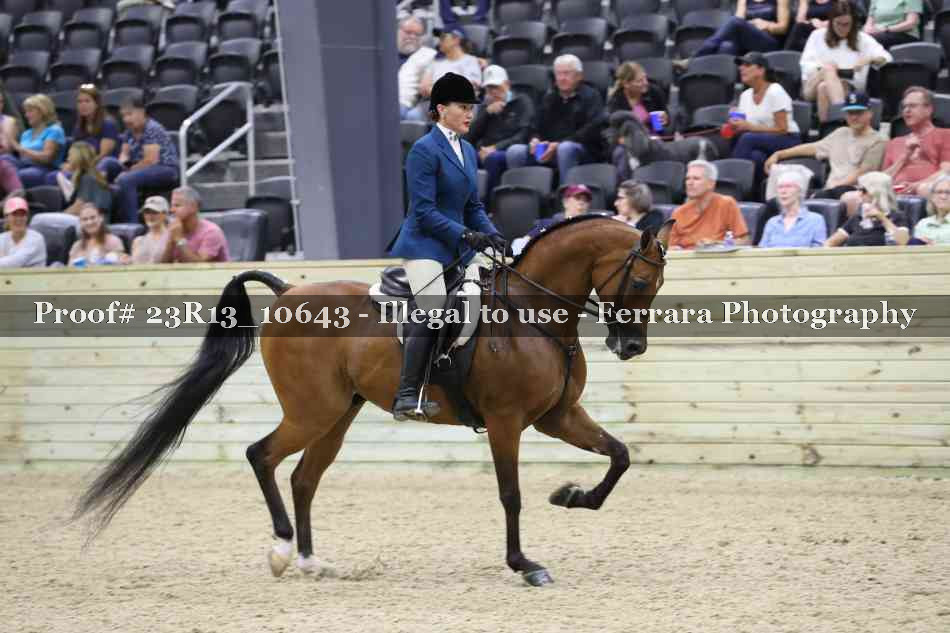 Proof 23R13_10643