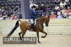 23R13_10643 proof
