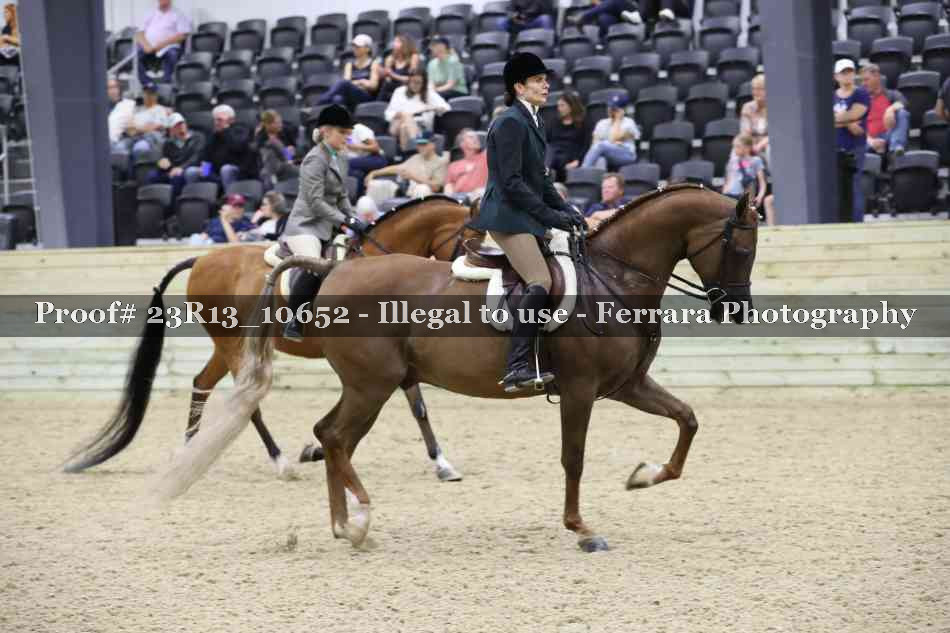 Proof 23R13_10652