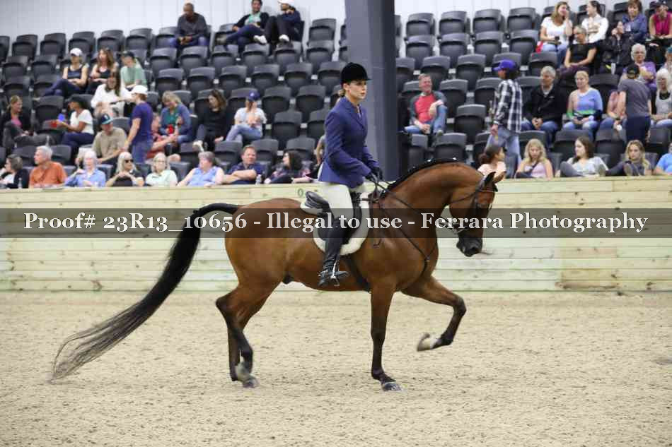 Proof 23R13_10656