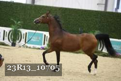 23R13_10705 proof