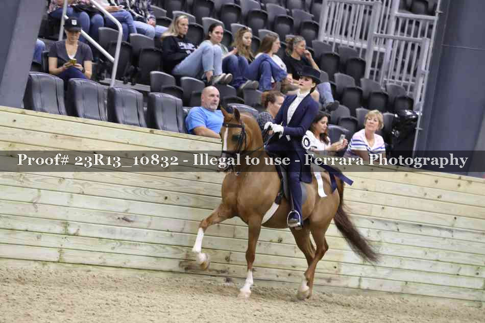 Proof 23R13_10832