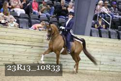23R13_10833 proof