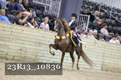 23R13_10836 proof
