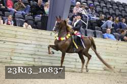 23R13_10837 proof