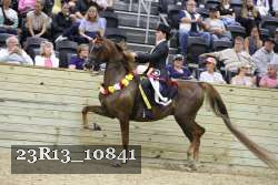 23R13_10841 proof