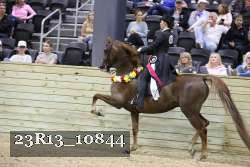 23R13_10844 proof