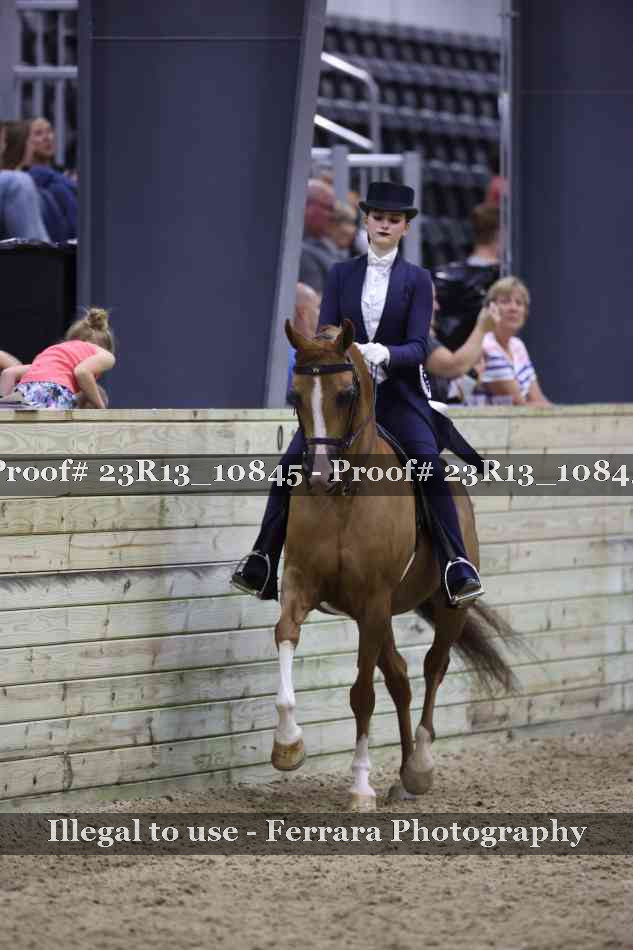 Proof 23R13_10845