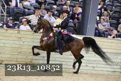 23R13_10852 proof