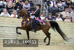 23R13_10853 proof