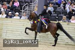 23R13_10855 proof