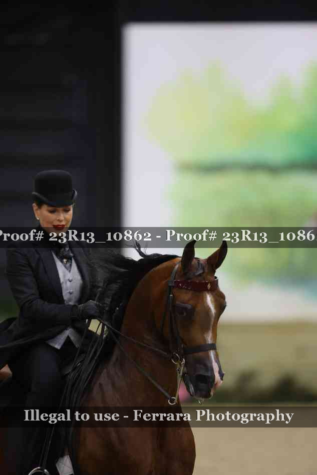 Proof 23R13_10862