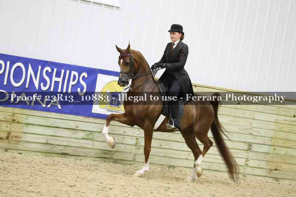 Proof 23R13_10883