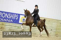 23R13_10883 proof