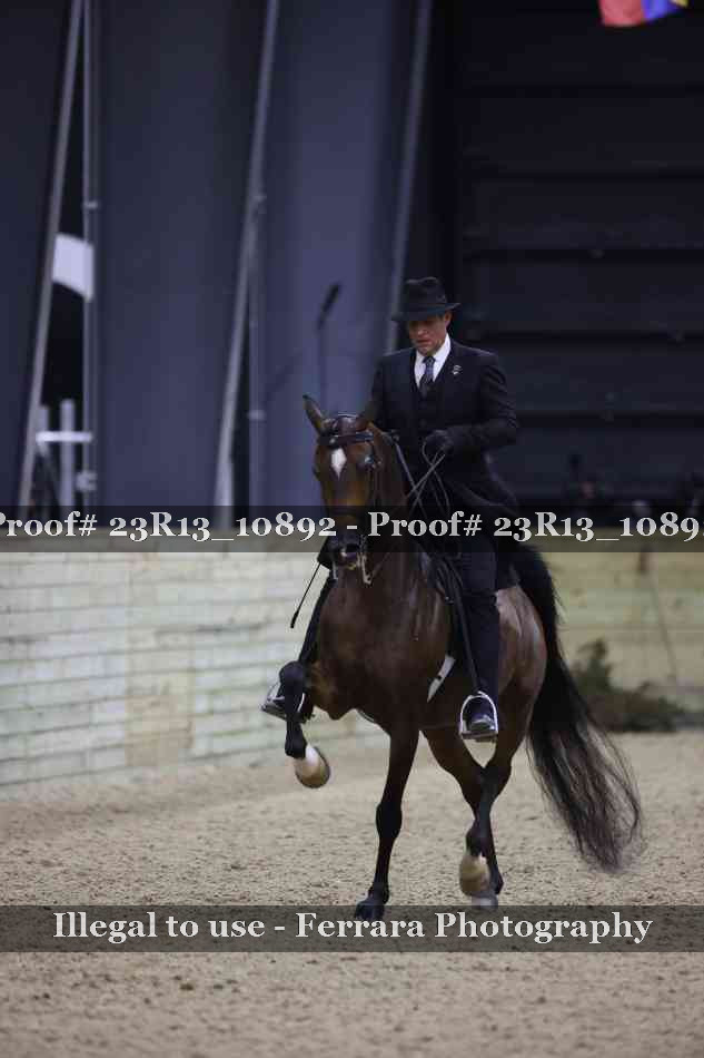 Proof 23R13_10892