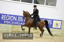 23R13_10893 proof