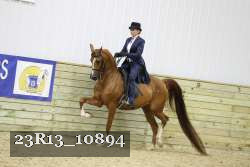 23R13_10894 proof
