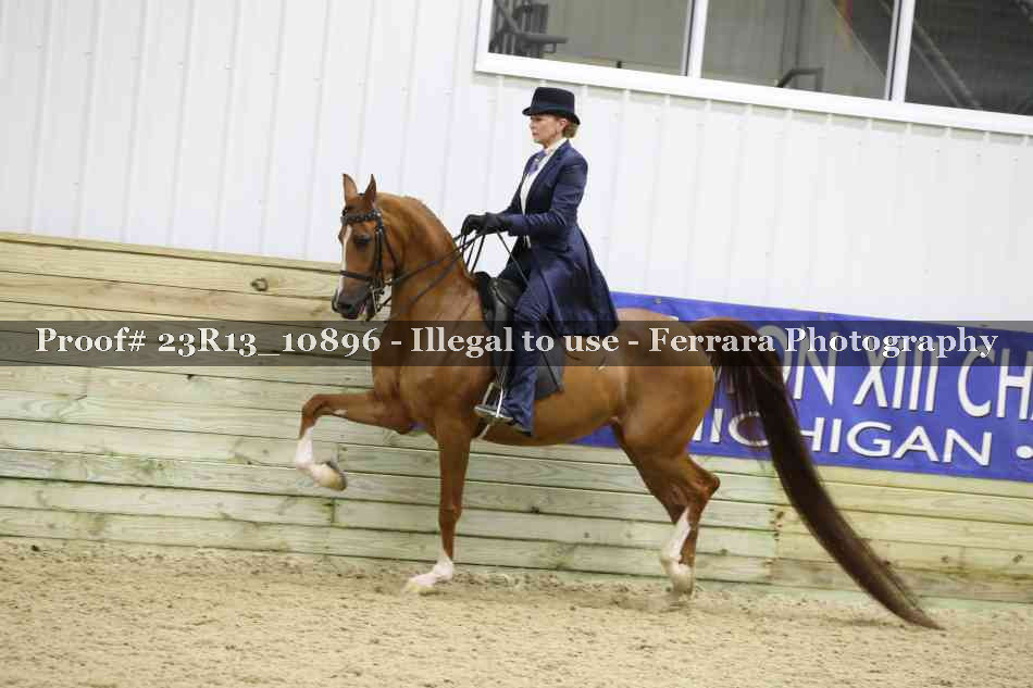 Proof 23R13_10896