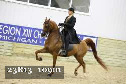 23R13_10901 proof