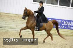23R13_10902 proof