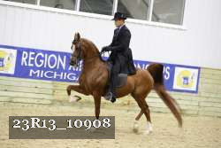 23R13_10908 proof