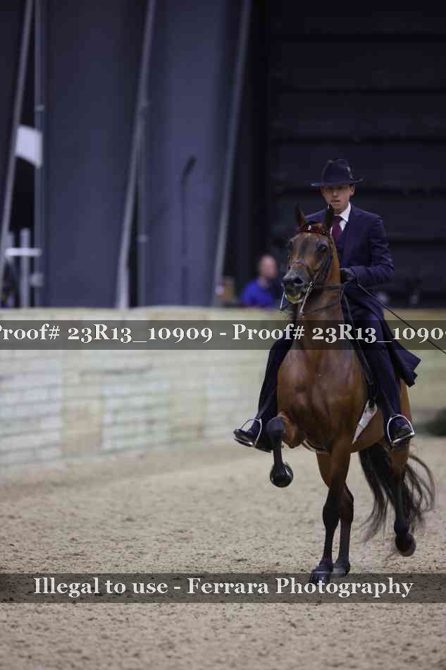Proof 23R13_10909