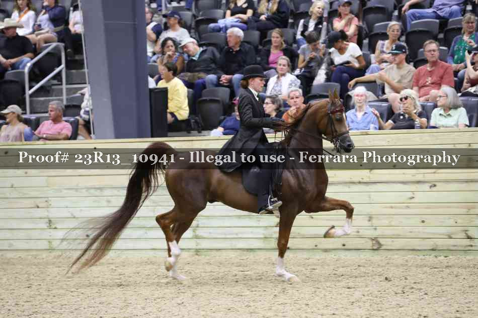 Proof 23R13_10941