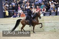 23R13_10946 proof