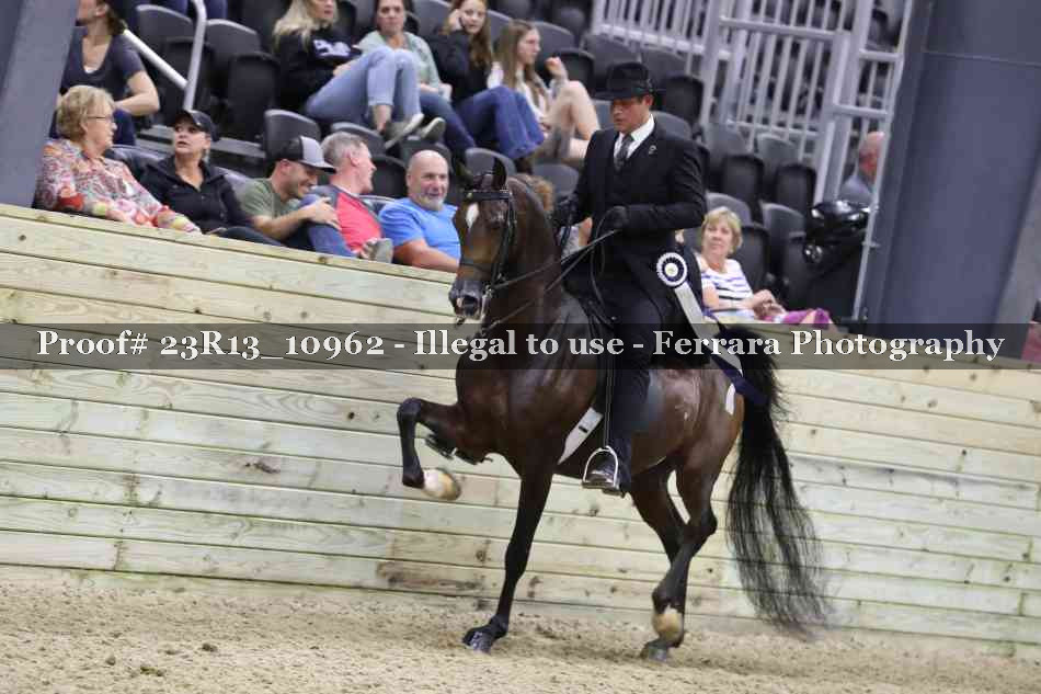 Proof 23R13_10962