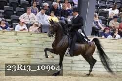 23R13_10964 proof