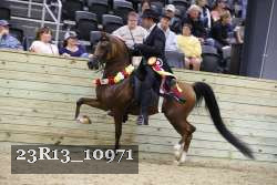 23R13_10971 proof