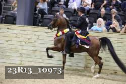 23R13_10973 proof
